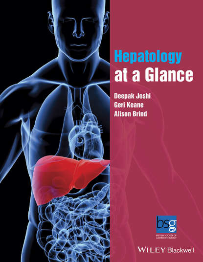 Скачать книгу Hepatology at a Glance
