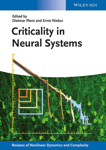 Скачать книгу Criticality in Neural Systems