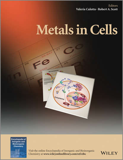 Скачать книгу Metals in Cells