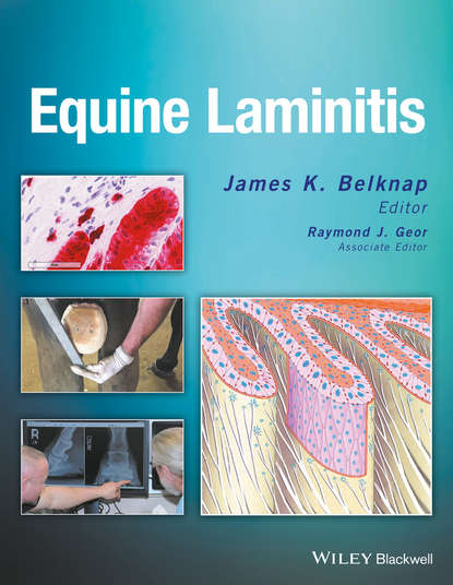 Скачать книгу Equine Laminitis