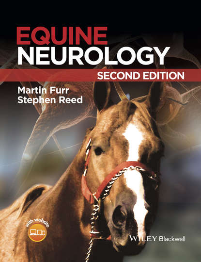 Скачать книгу Equine Neurology