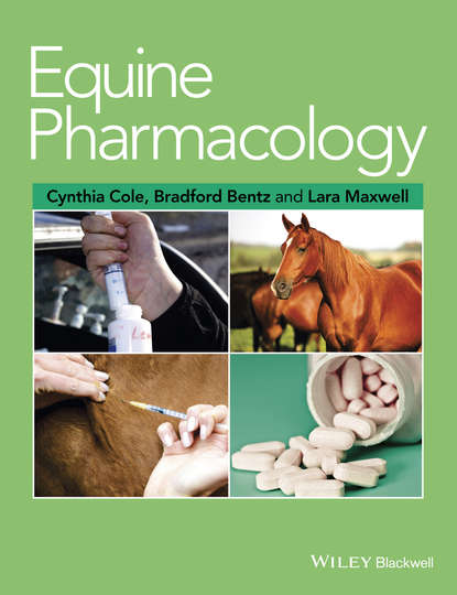 Скачать книгу Equine Pharmacology