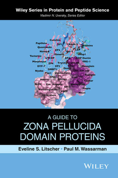 Скачать книгу A Guide to Zona Pellucida Domain Proteins