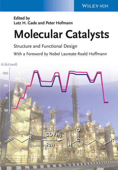 Скачать книгу Molecular Catalysts. Structure and Functional Design