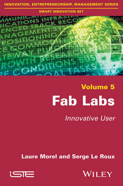 Скачать книгу Fab Labs. Innovative User