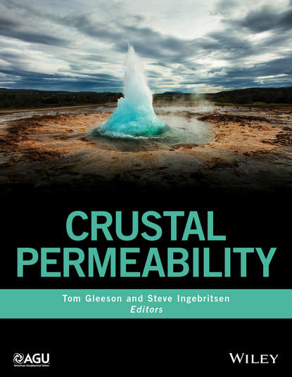 Скачать книгу Crustal Permeability