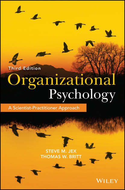 Скачать книгу Organizational Psychology. A Scientist-Practitioner Approach