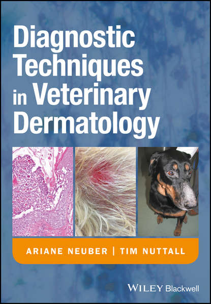 Скачать книгу Diagnostic Techniques in Veterinary Dermatology