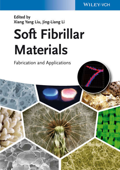 Скачать книгу Soft Fibrillar Materials. Fabrication and Applications