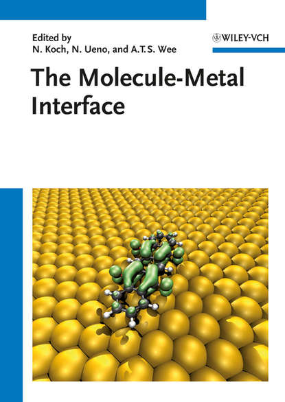 Скачать книгу The Molecule-Metal Interface