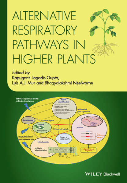 Скачать книгу Alternative Respiratory Pathways in Higher Plants