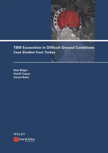 Скачать книгу TBM Excavation in Difficult Ground Conditions. Case Studies from Turkey