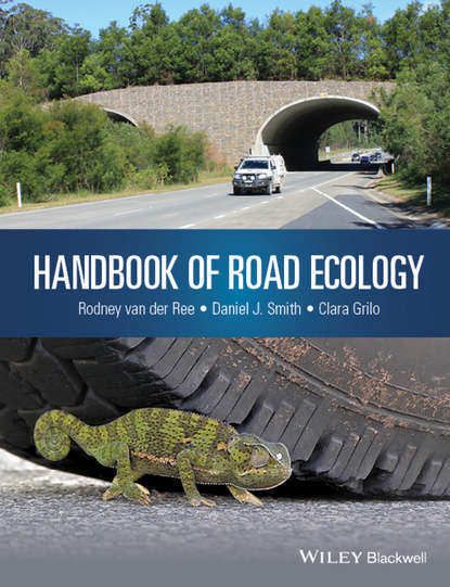 Скачать книгу Handbook of Road Ecology