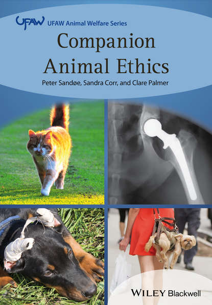 Скачать книгу Companion Animal Ethics