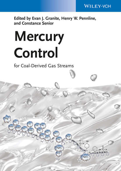 Скачать книгу Mercury Control. for Coal-Derived Gas Streams