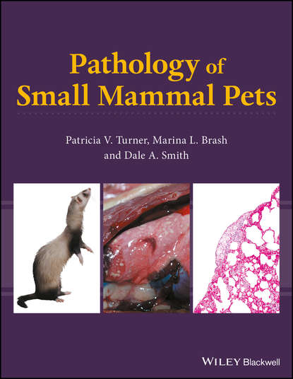 Скачать книгу Pathology of Small Mammal Pets