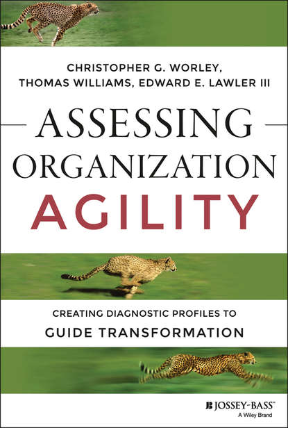 Assessing Organization Agility. Creating Diagnostic Profiles to Guide Transformation