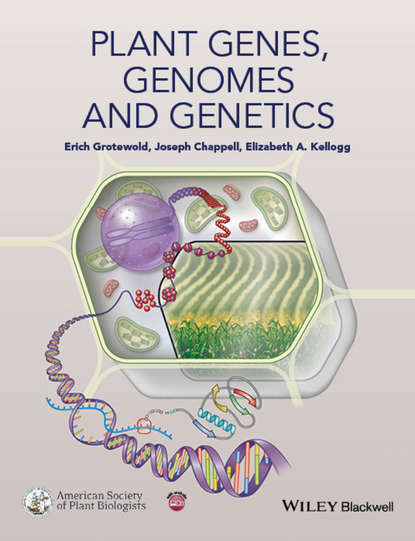 Скачать книгу Plant Genes, Genomes and Genetics
