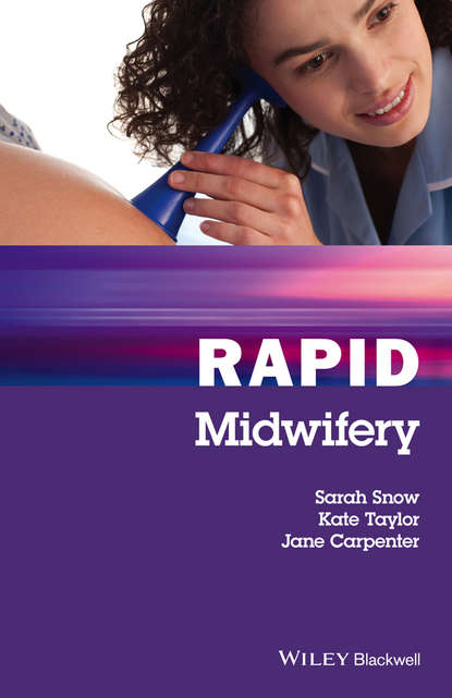 Скачать книгу Rapid Midwifery