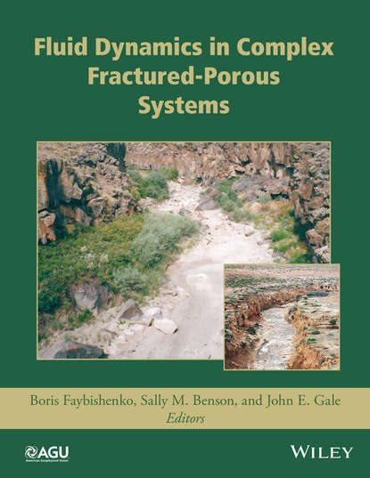 Скачать книгу Fluid Dynamics in Complex Fractured-Porous Systems