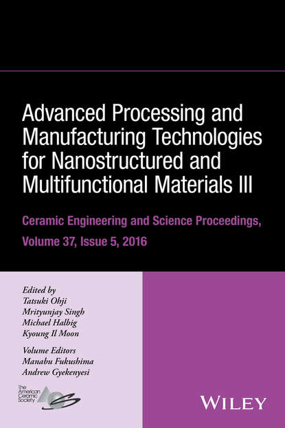 Скачать книгу Advanced Processing and Manufacturing Technologies for Nanostructured and Multifunctional Materials III
