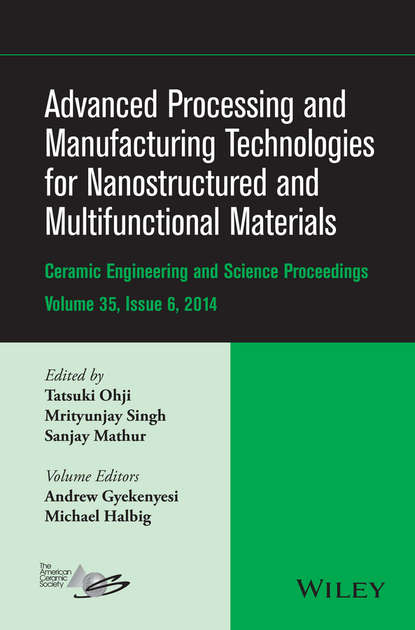 Скачать книгу Advanced Processing and Manufacturing Technologies for Nanostructured and Multifunctional Materials