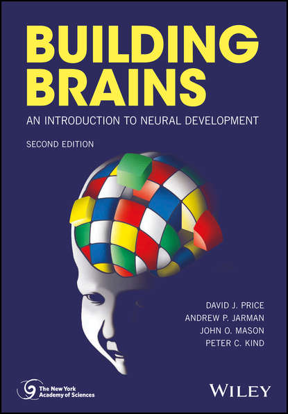 Скачать книгу Building Brains. An Introduction to Neural Development
