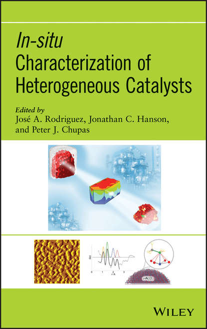 Скачать книгу In-situ Characterization of Heterogeneous Catalysts