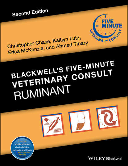 Скачать книгу Blackwell's Five-Minute Veterinary Consult: Ruminant