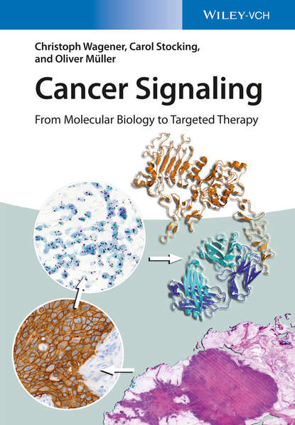 Скачать книгу Cancer Signaling, Enhanced Edition. From Molecular Biology to Targeted Therapy