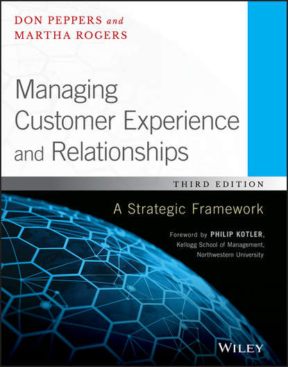 Managing Customer Experience and Relationships. A Strategic Framework