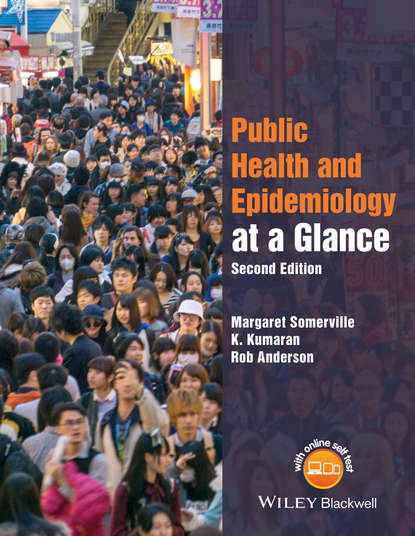 Скачать книгу Public Health and Epidemiology at a Glance
