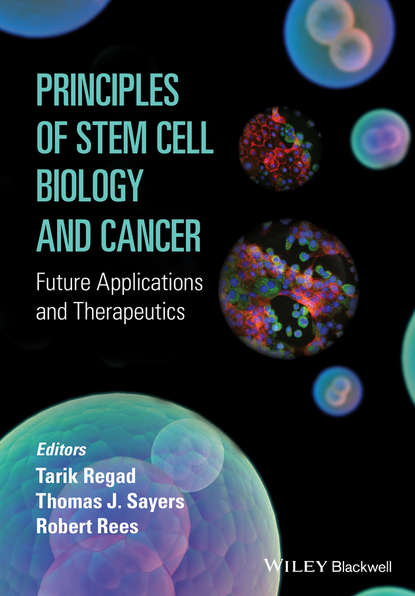 Скачать книгу Principles of Stem Cell Biology and Cancer. Future Applications and Therapeutics
