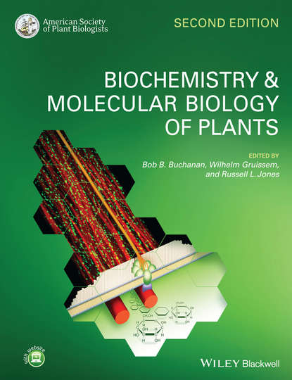 Скачать книгу Biochemistry and Molecular Biology of Plants