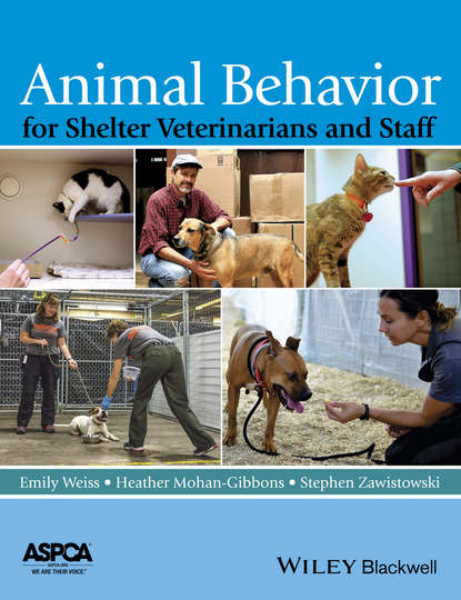 Скачать книгу Animal Behavior for Shelter Veterinarians and Staff