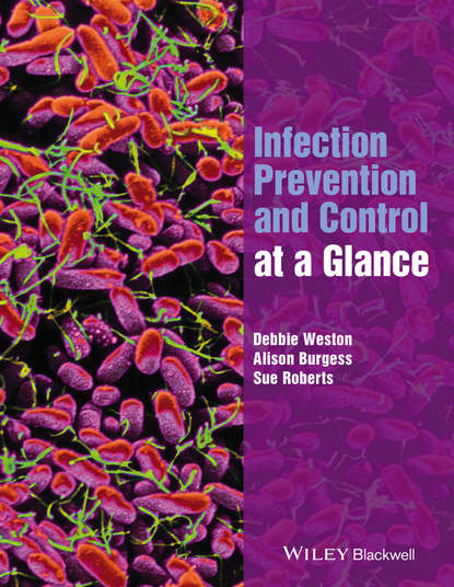 Скачать книгу Infection Prevention and Control at a Glance
