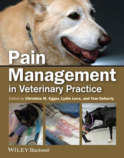 Скачать книгу Pain Management in Veterinary Practice