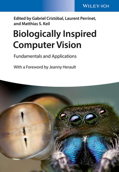 Скачать книгу Biologically Inspired Computer Vision. Fundamentals and Applications