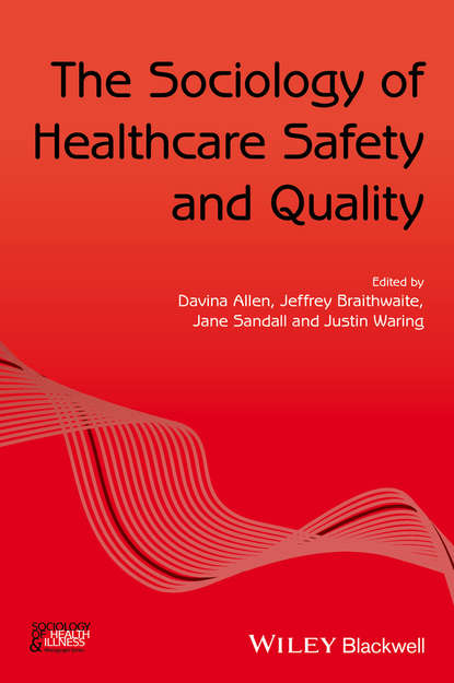 Скачать книгу The Sociology of Healthcare Safety and Quality