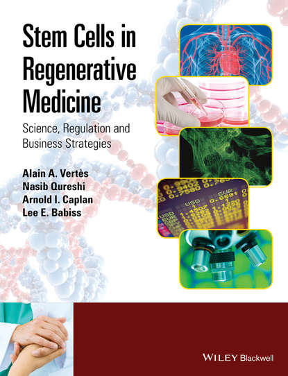 Скачать книгу Stem Cells in Regenerative Medicine. Science, Regulation and Business Strategies