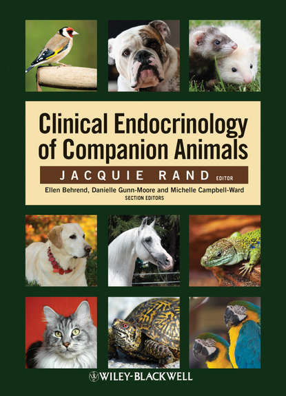 Скачать книгу Clinical Endocrinology of Companion Animals