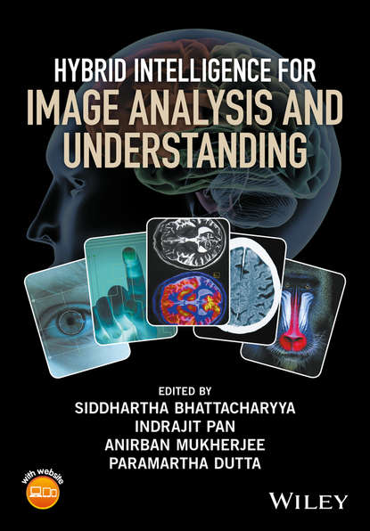 Скачать книгу Hybrid Intelligence for Image Analysis and Understanding