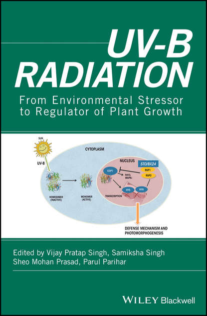 Скачать книгу UV-B Radiation. From Environmental Stressor to Regulator of Plant Growth
