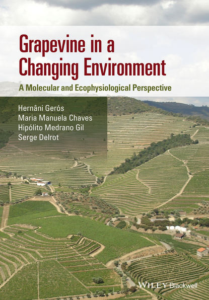 Скачать книгу Grapevine in a Changing Environment. A Molecular and Ecophysiological Perspective