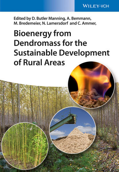 Скачать книгу Bioenergy from Dendromass for the Sustainable Development of Rural Areas