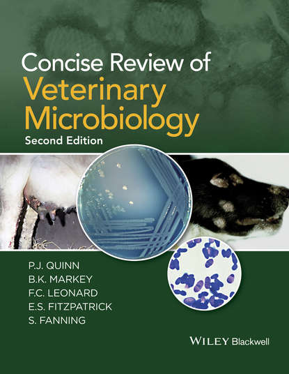 Скачать книгу Concise Review of Veterinary Microbiology