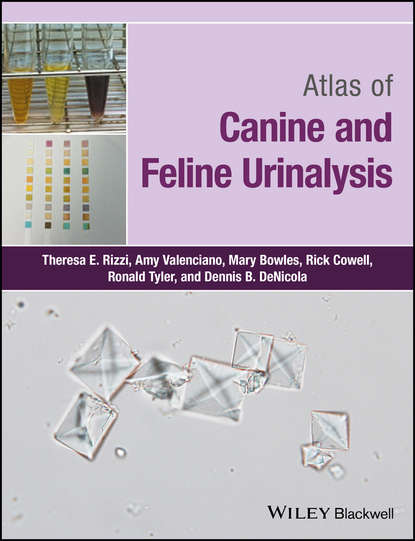 Скачать книгу Atlas of Canine and Feline Urinalysis