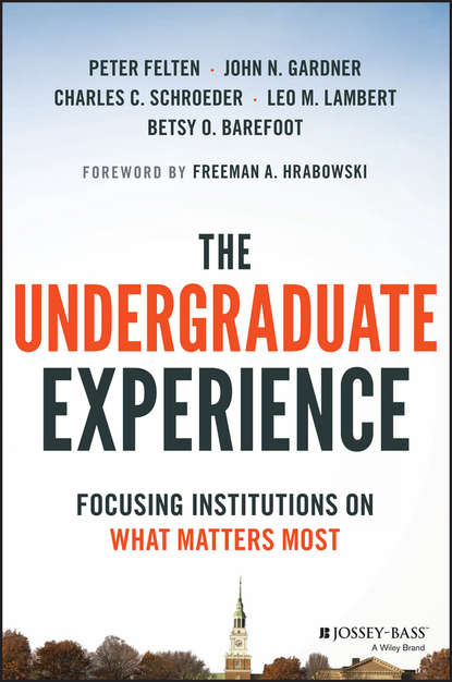 Скачать книгу The Undergraduate Experience. Focusing Institutions on What Matters Most