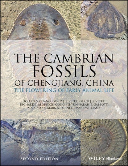 Скачать книгу The Cambrian Fossils of Chengjiang, China. The Flowering of Early Animal Life