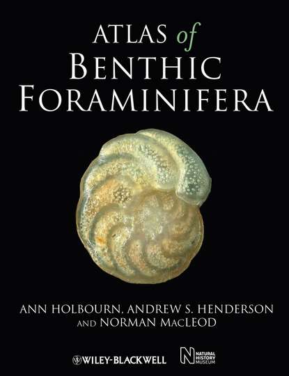 Скачать книгу Atlas of Benthic Foraminifera